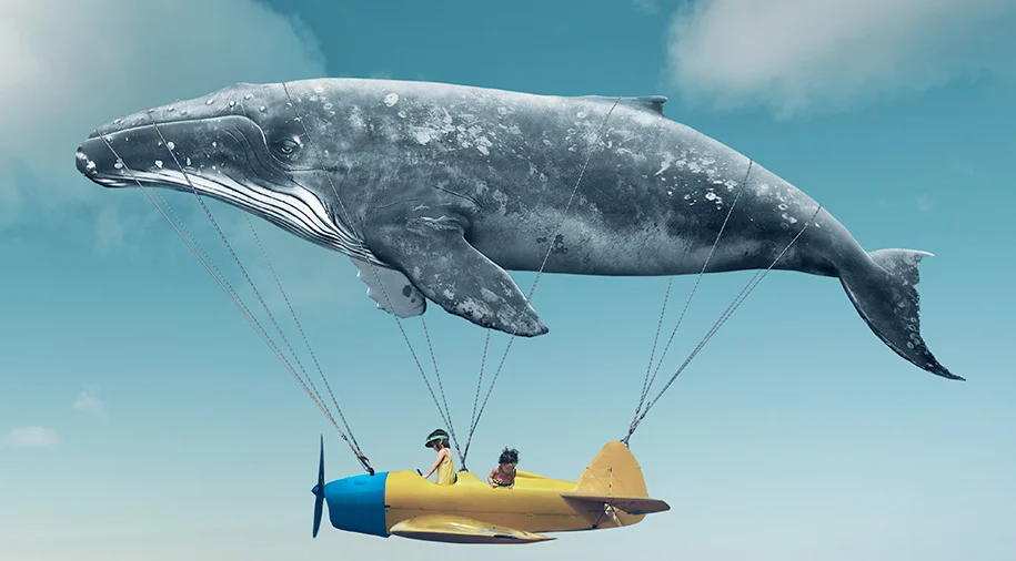 MARINE BIOLOGY & OCEAN SCI | 00378