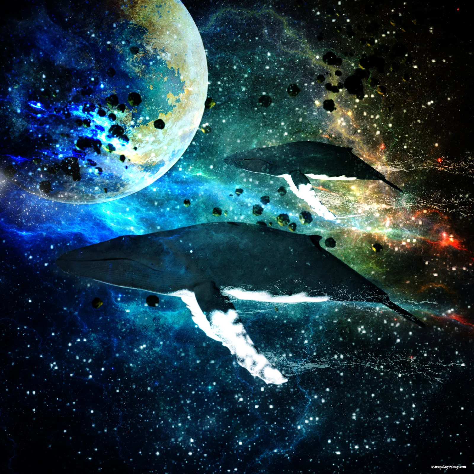 MARINE BIOLOGY & OCEAN SCI | 00379