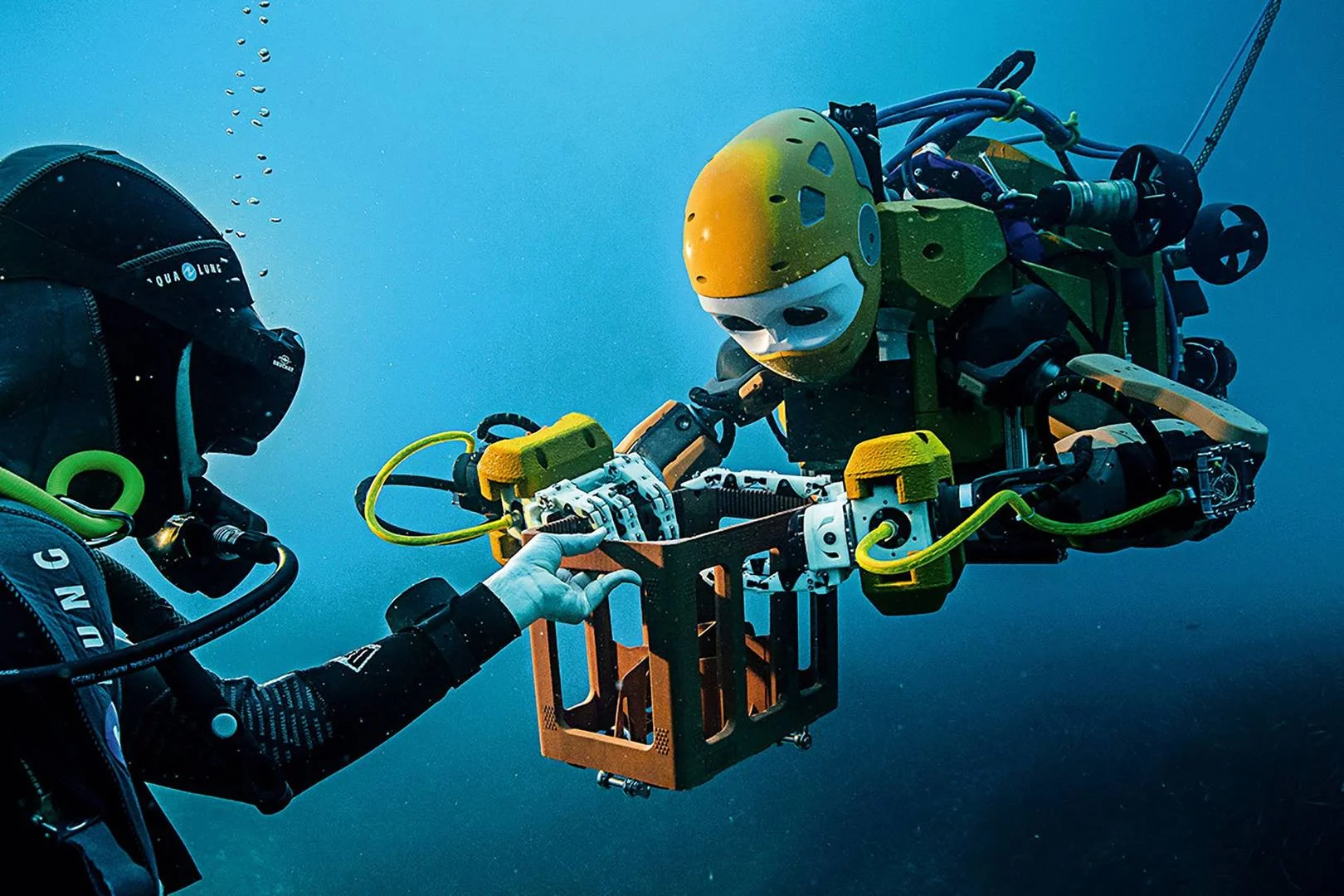 MARINE BIOLOGY & OCEAN SCI | 00381