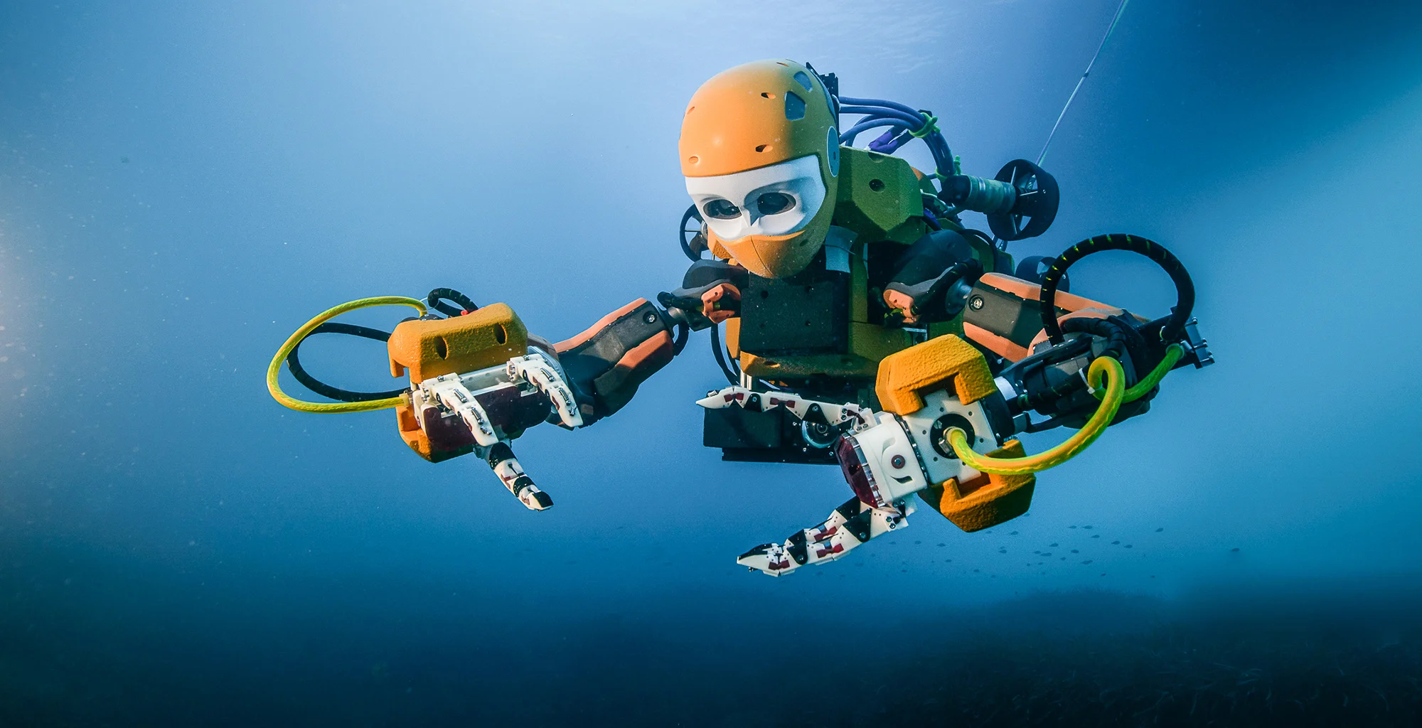 MARINE BIOLOGY &amp; OCEAN SCI | 00382
