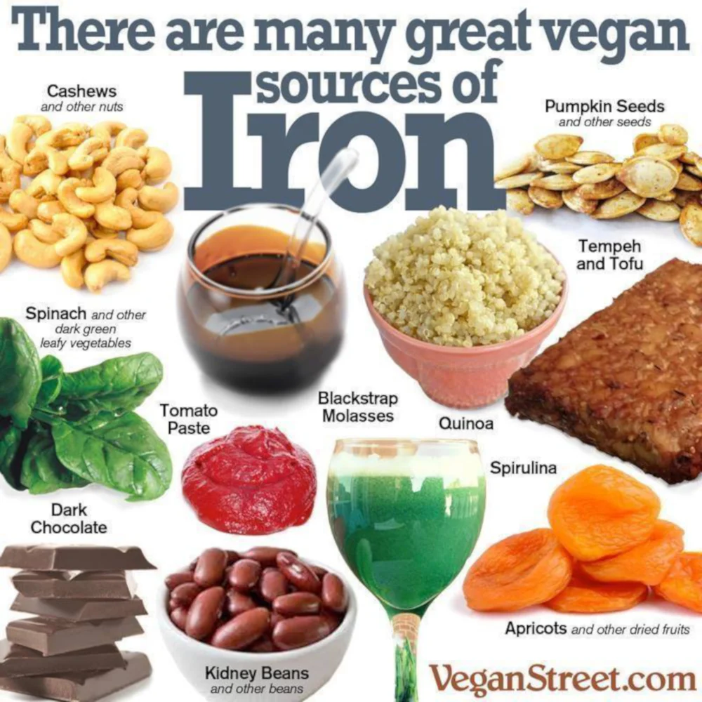 OM! VEGAN &amp; VEGETARIAN | 00010