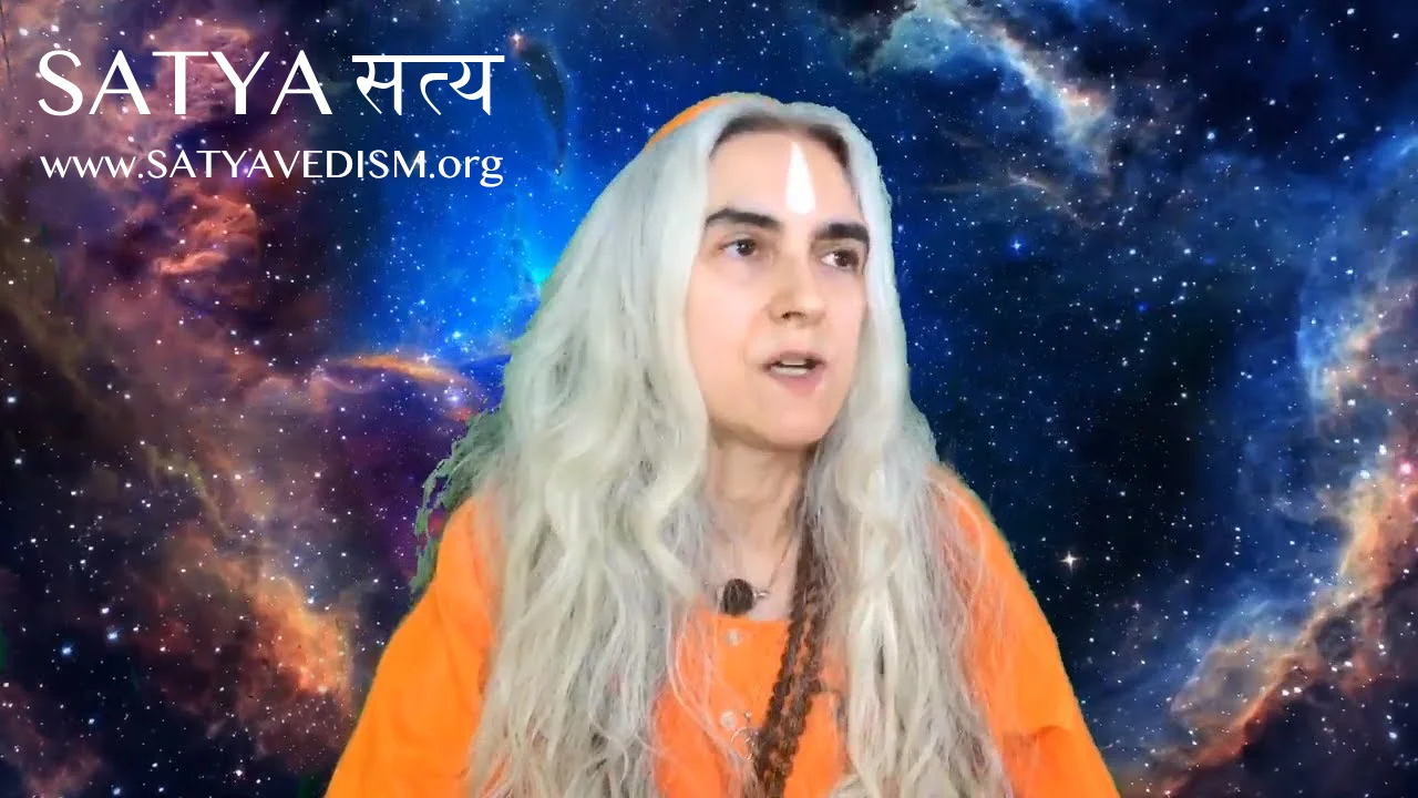 THE LIVESTREAMS | LSSV | VOL 01 | LSSV 21