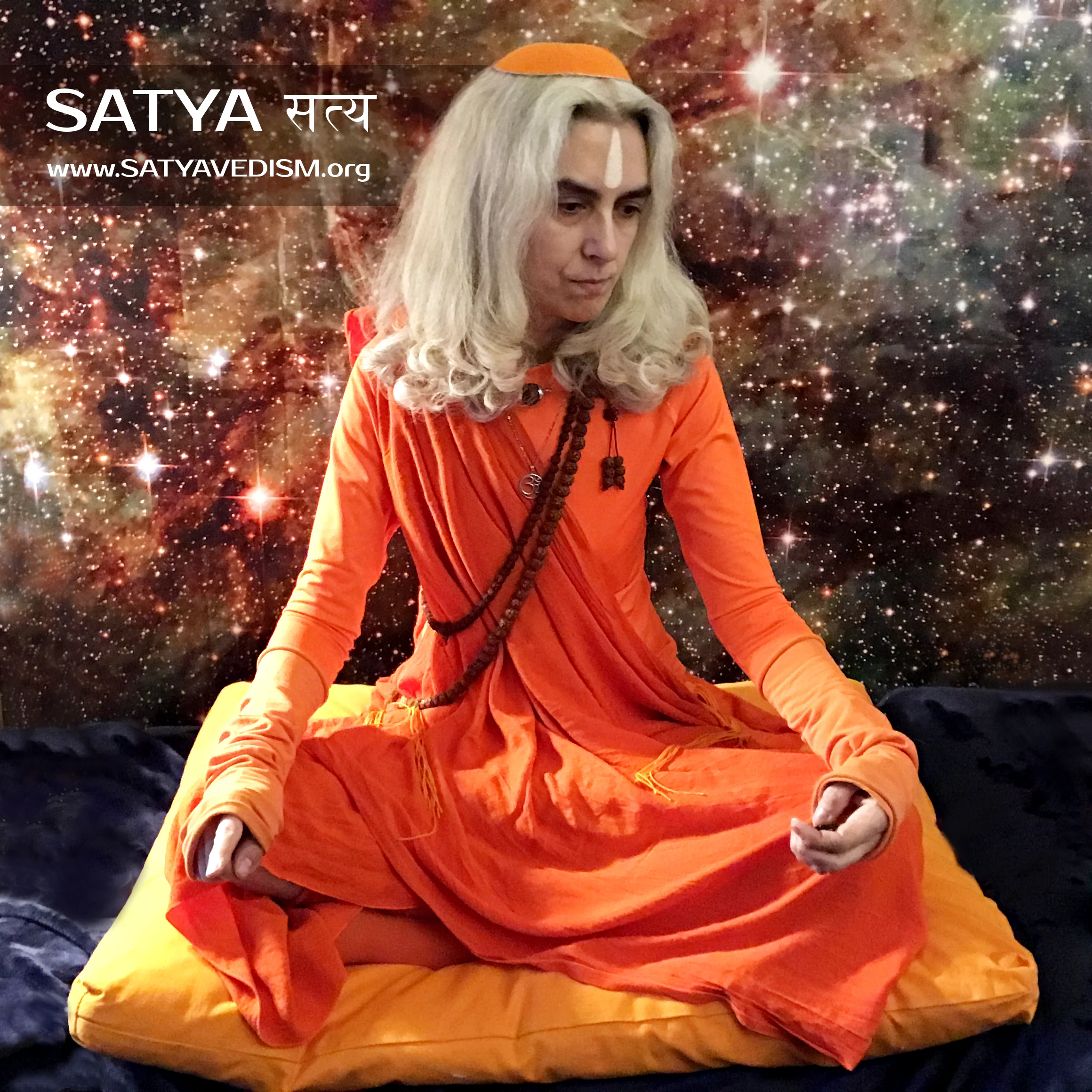 AESSV 13 | OM! THE DARSHAN GALLERY + FB GROUP