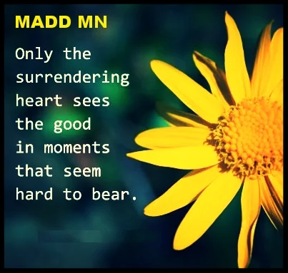 Hennepin County One Day Program for MADD MN