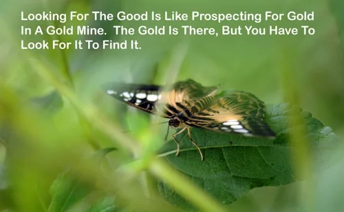 Key to Riches:  Dig for Gold or Sell Picks & Shovels?  Willingness to Go to Any Lengths to Recover