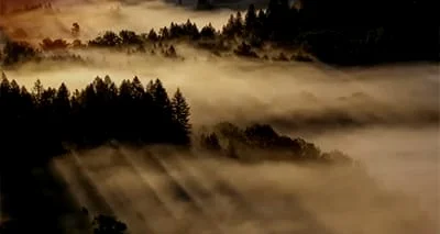 Ownership and Amends