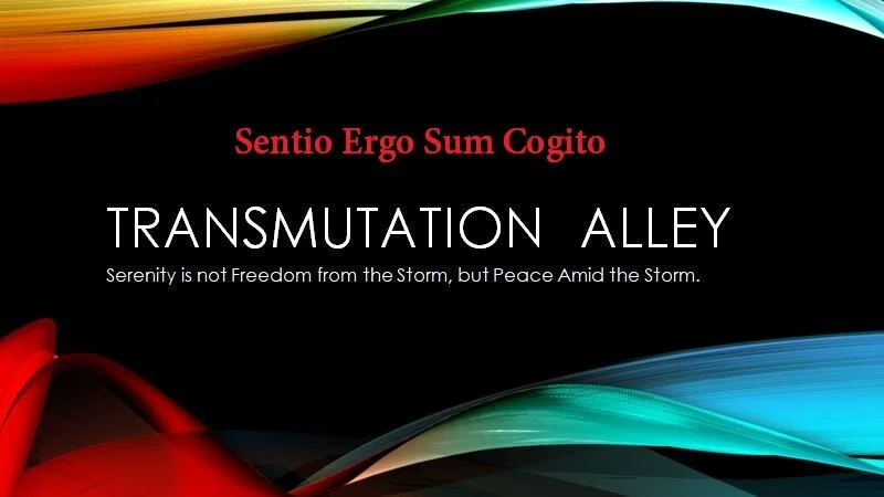 Sentio Ergo Sum Cogito , by The Incomplete Skeptic, Timothy G Cameron 