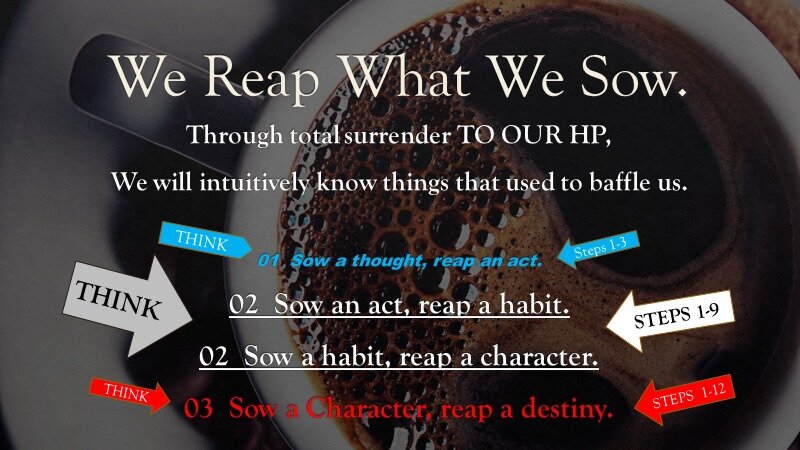 reap what we sow 2 STEPS.jpg