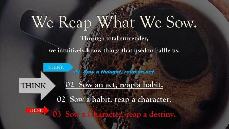 reap what we sow 1.jpg