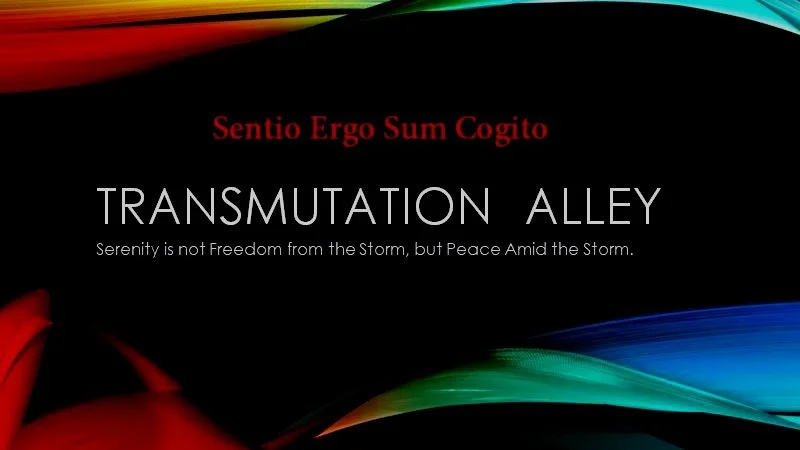 Let's Rock Shop - Speeches at the Holistic Fair