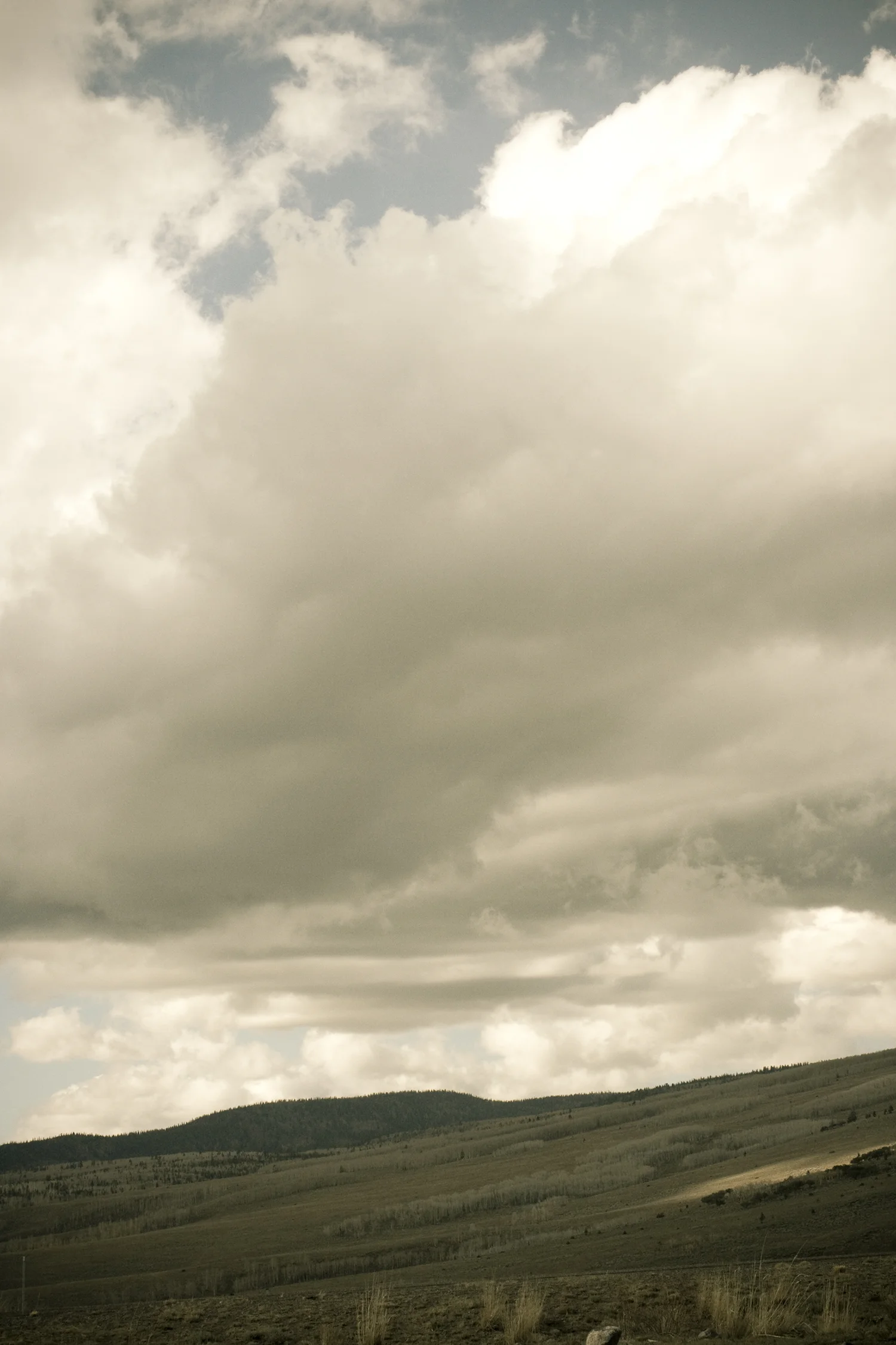 Capitol Reef-1106-010.jpg