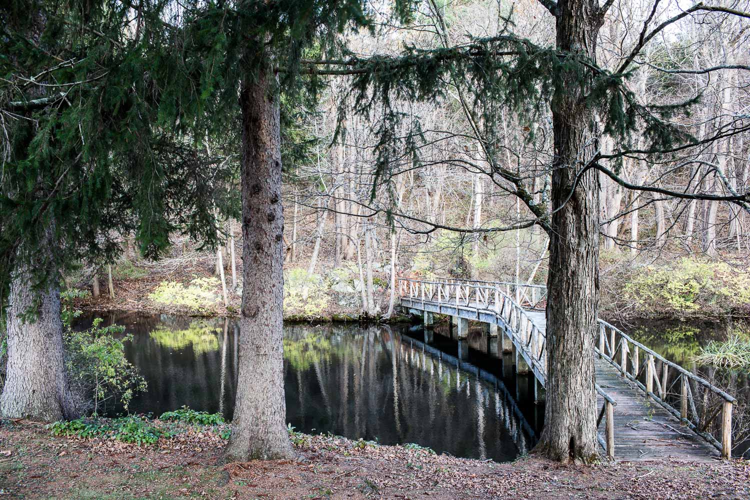 OLD STONE FARM WELLNESS RETREAT