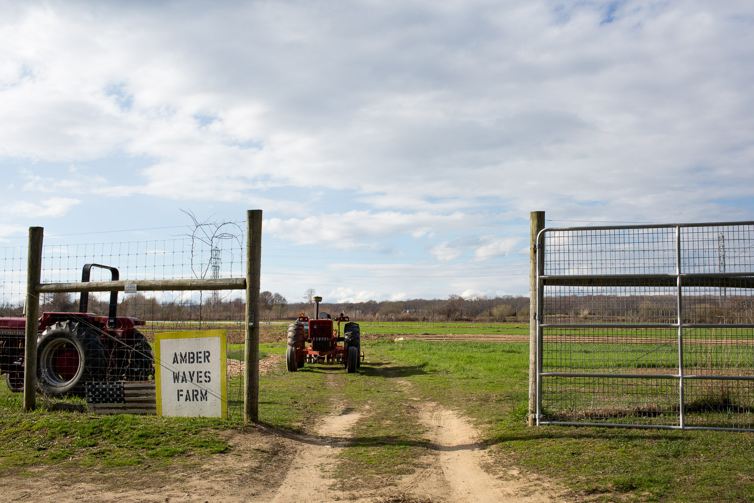 AMBER WAVES FARM