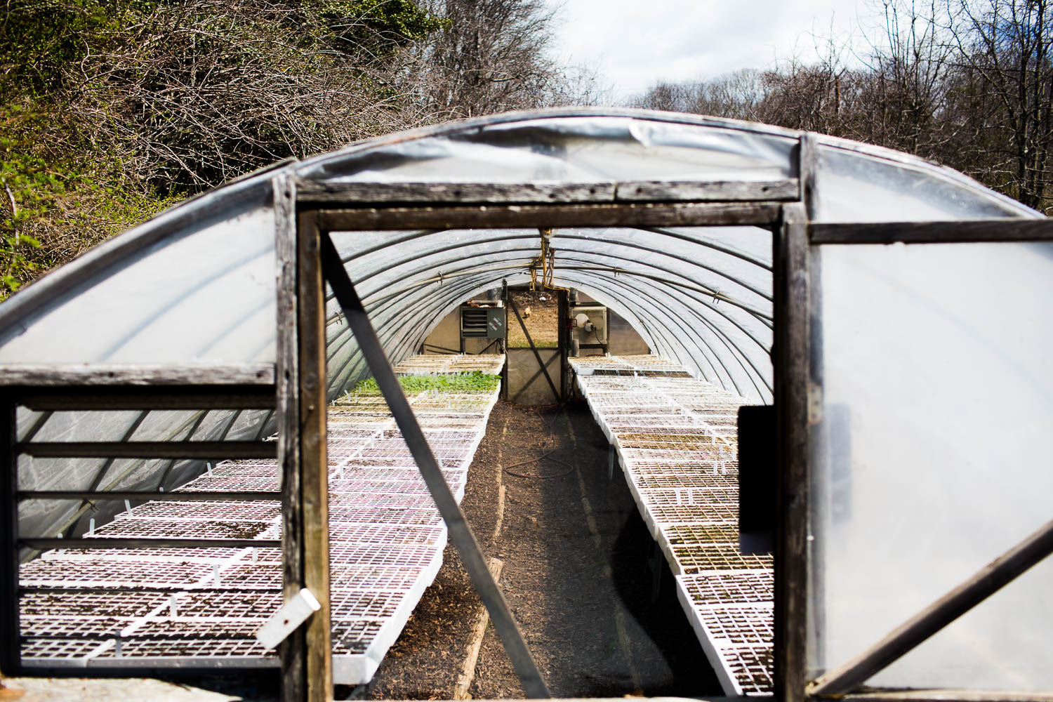 QUAIL HILL FARM