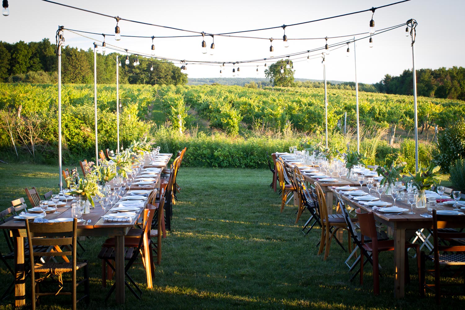 FINGERLAKES VINEYARD DINNER