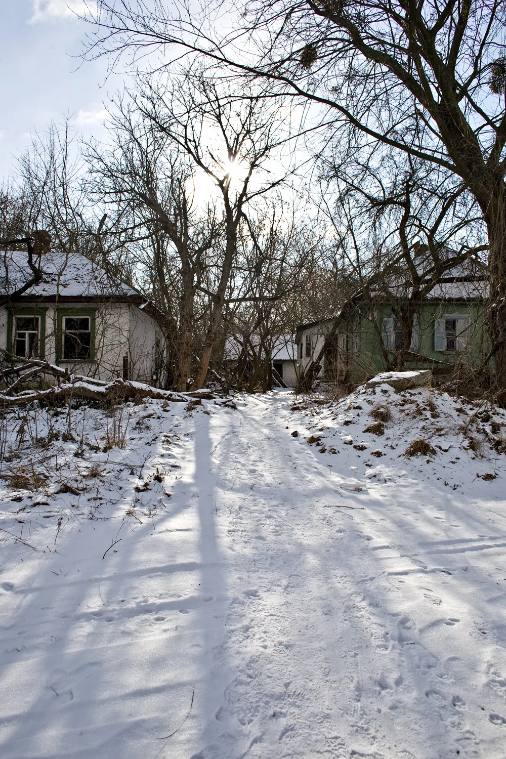 Abandoned houses on the town of Chernobyl.