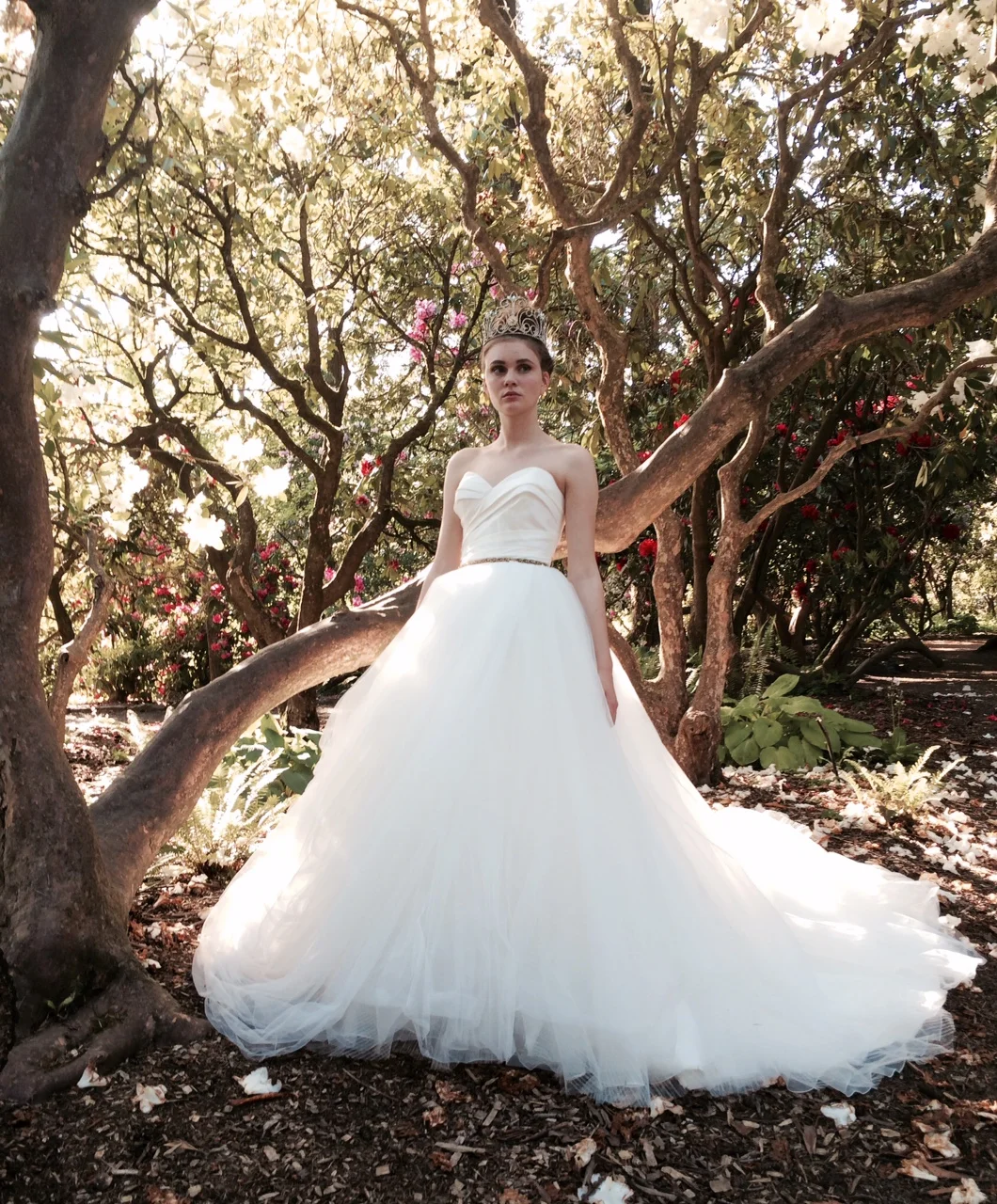 A sneak peek from our look book shoot with Margaret Jacobsen! Adagio seems to be glowing from within in this incredible woodland backdrop.