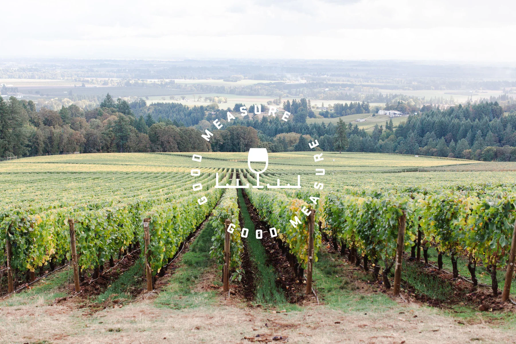 Good Measure Wines Brand, Label, and Packaging Design — Russell Shaw