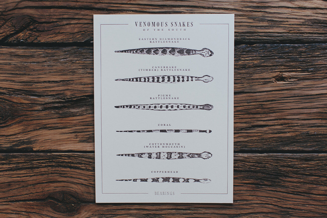 Illustrated infographic of types of venomous snakes of the south shows the eastern diamondback rattlesnake, canebrake timber rattlesnake, pigmy rattlesnake, coral snake, cottonmouth water moccasin, and copperhead, created and drawn by graphic artist Russell Shaw for Bearings Guide.