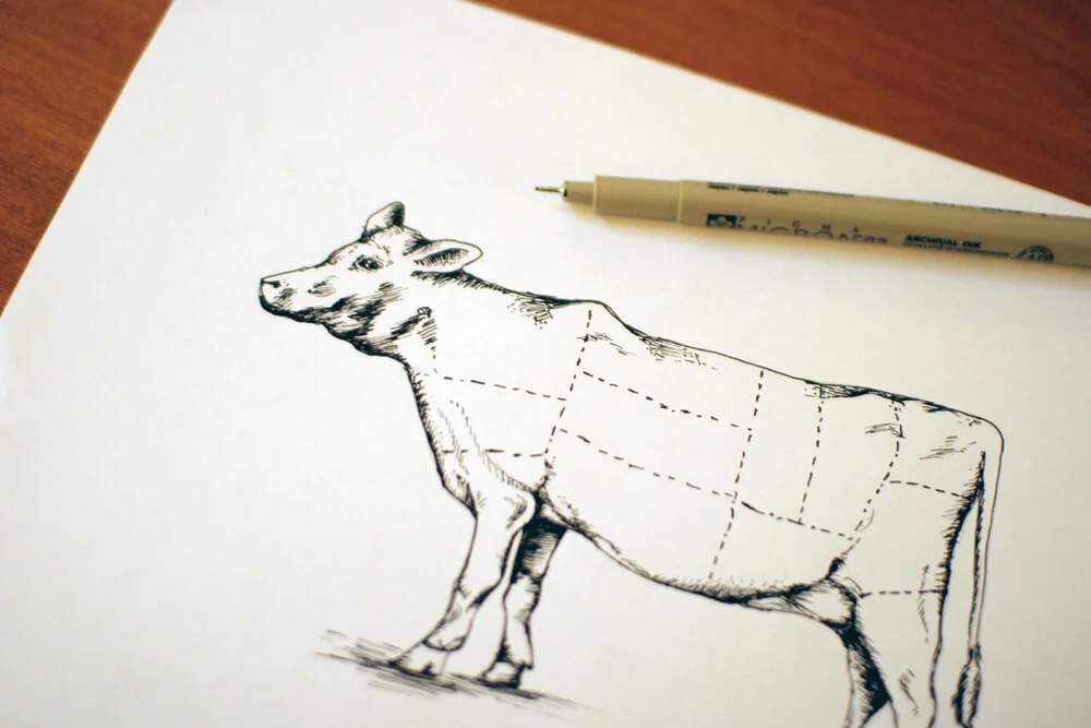 The original sketch of the cow diagram for the beef chart cuts of meat for Bearings Guide's series of letterpress infographics.