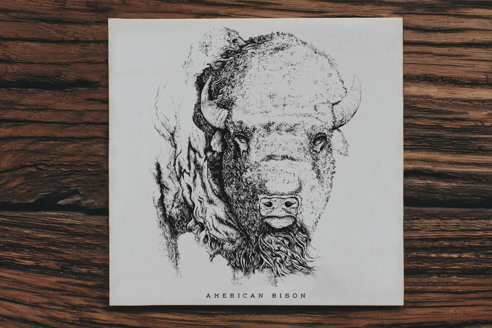 Detailed pen and ink hand drawn illustration of an american bison head on a fine art letterpress print and poster design.