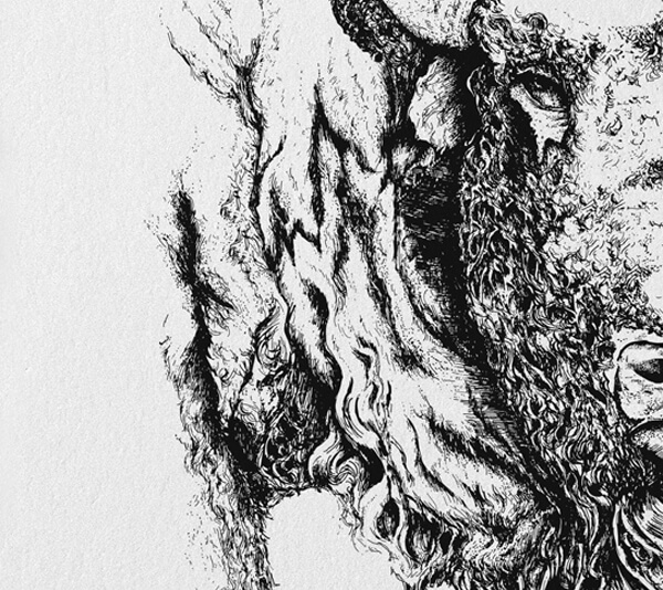 Cropped detail shot of the original hand drawn sketch of the head of an american bison for the Bearings Guide letterpress print series.