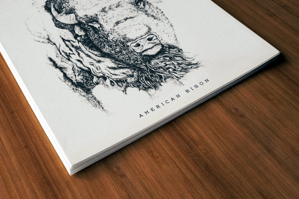 Stack of posters designed with the american bison illustration on them.
