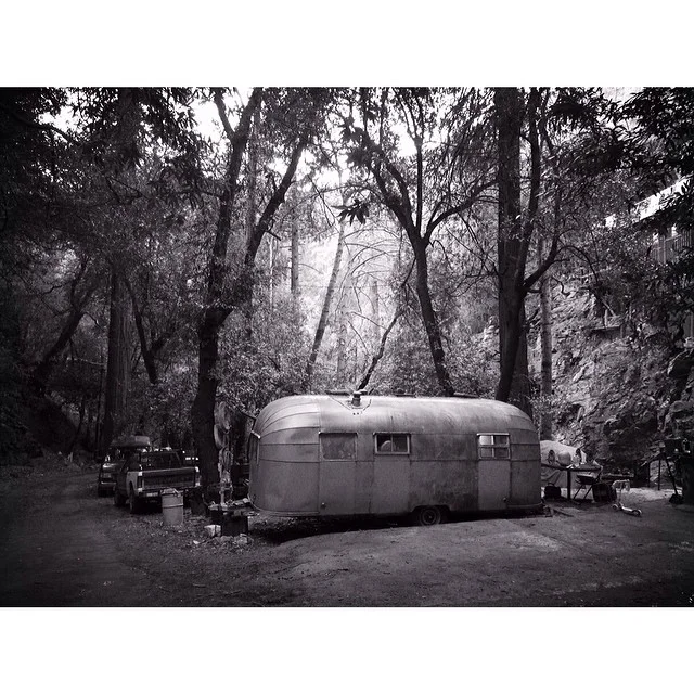Found an airstream in the forest.