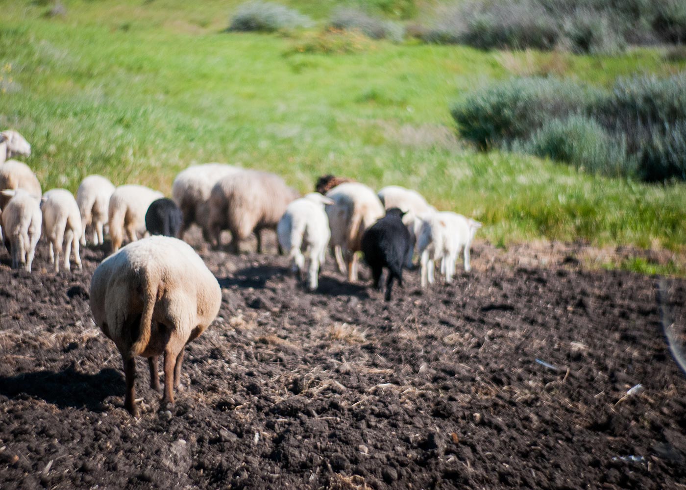 Photo-Field-Trip-2015-Day-Two-(D300)-19.jpg