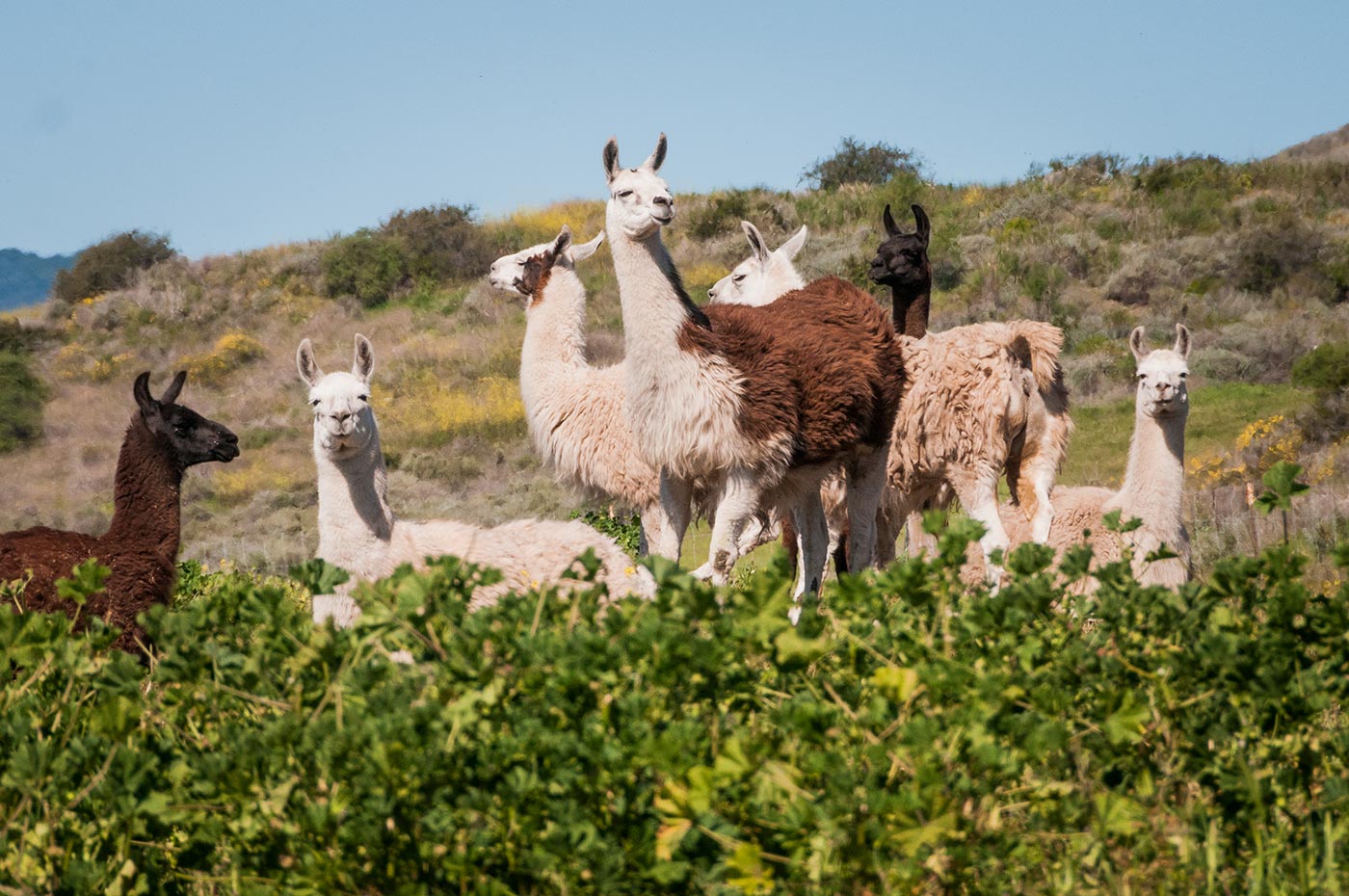 Photo-Field-Trip-2015-Day-Two-(D300)-28.jpg