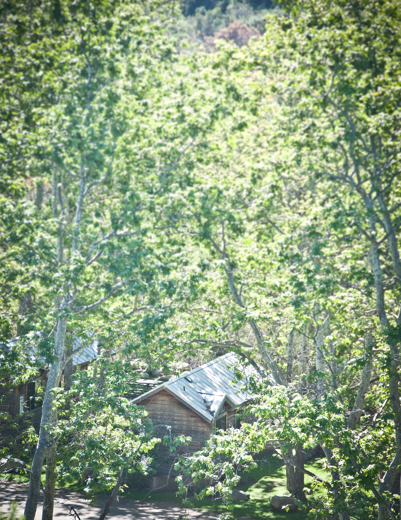 Photo-Field-Trip-2015-Day-Two-(D300)-64.jpg