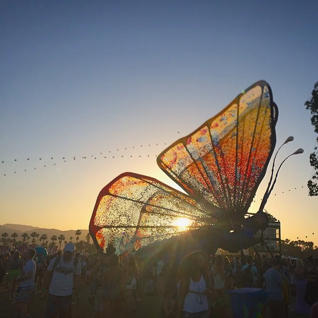 i-squealed-with-glee-on-coachella-day-three-when-i-realized-that-the-caterpie-evolved-into-a-beautiful-butterfree-also-i-rhymed-120365-sunset-in-the-desert-butterfly_16725862624_o.jpg