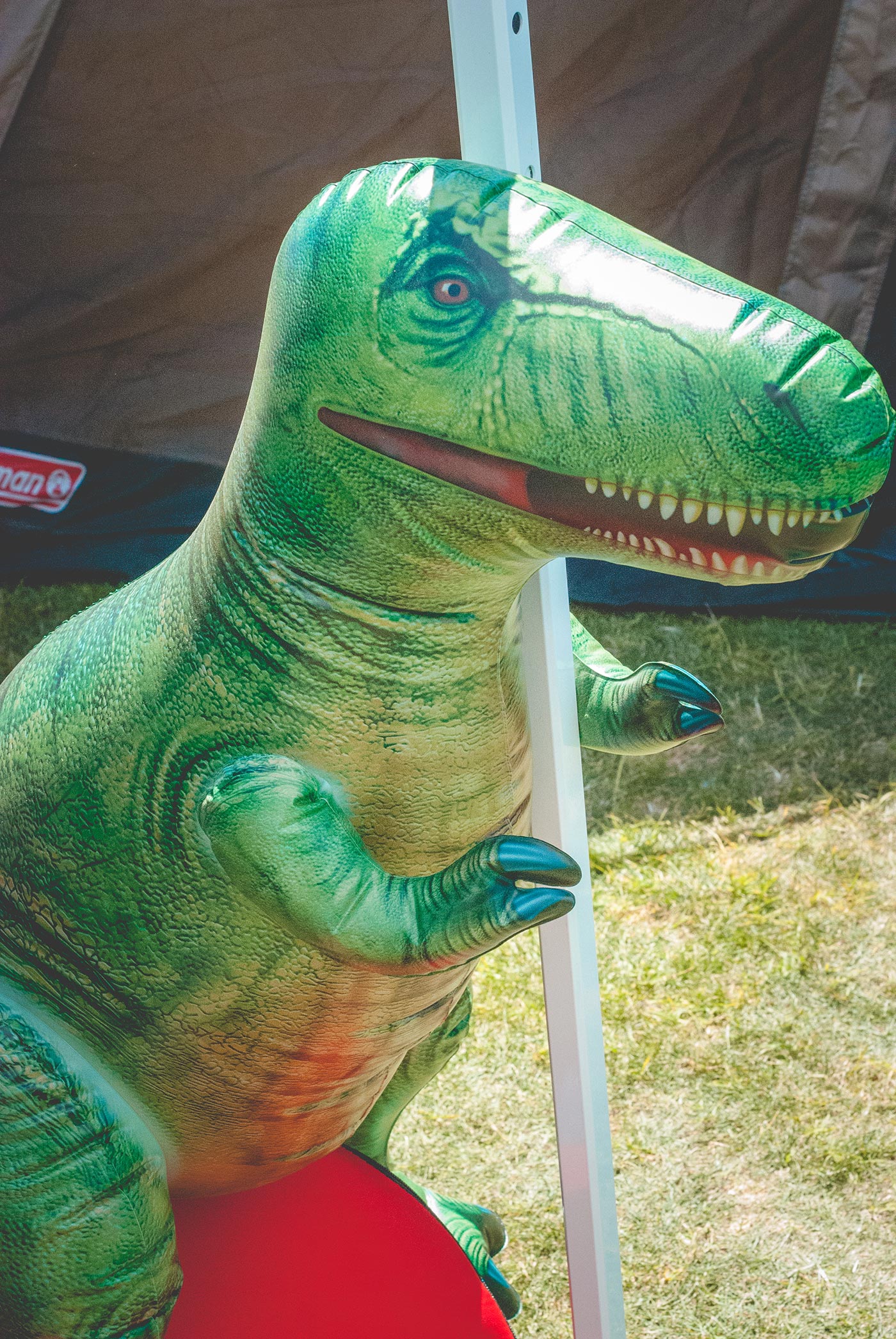 Coachella2015-22.jpg