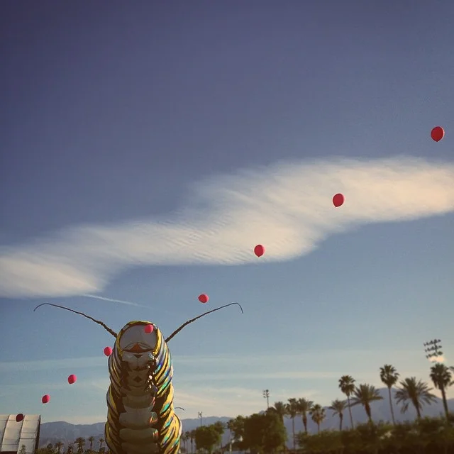 the-sweetest-little-caterpillar-you-ever-did-see-hungrycaterpillar-coachella2015-109365_17257710605_o.jpg