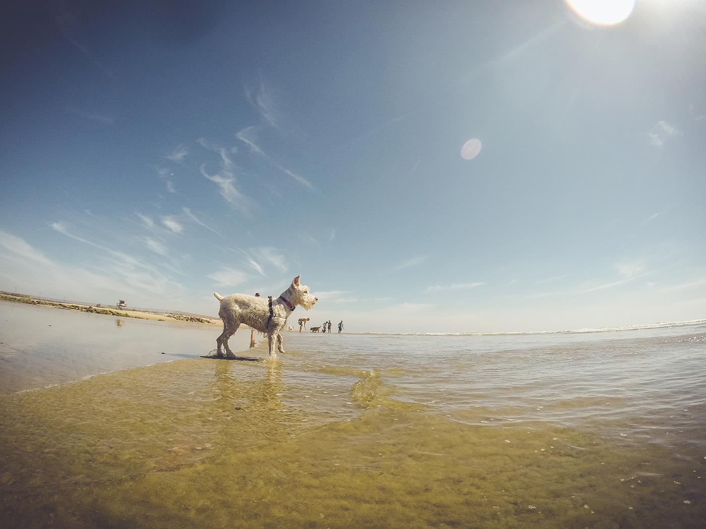 GoPro-Fun---Feb-March-2015-49.jpg