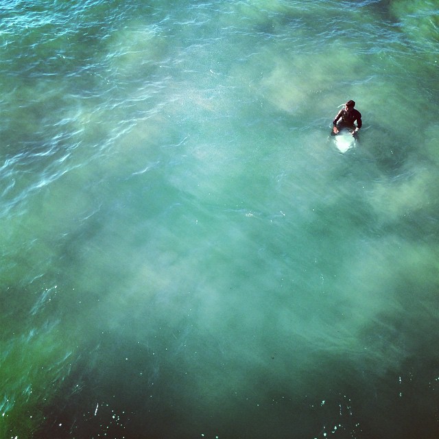 surf-life-part-two-that-last-one-got-such-a-great-response-from-my-artistic-avenues-thought-id-post-this-guy-too-thanks-for-the-love-everyone-99365-surfing-surflife-sanclemente-ocean-waiting-in-the-lineup_17147758552_o.jpg