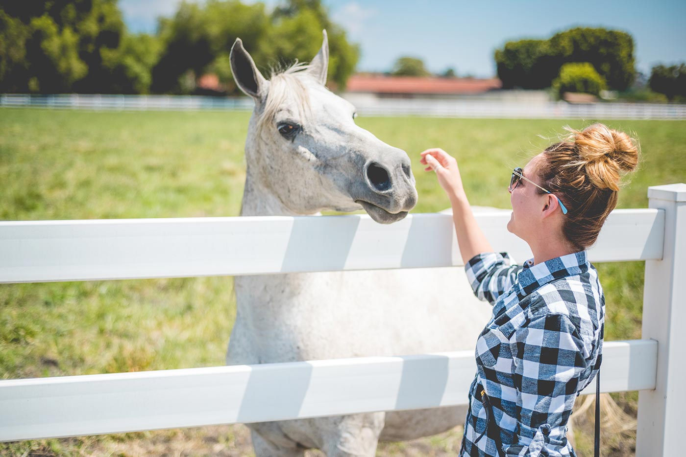 Horsin'Around-12.jpg