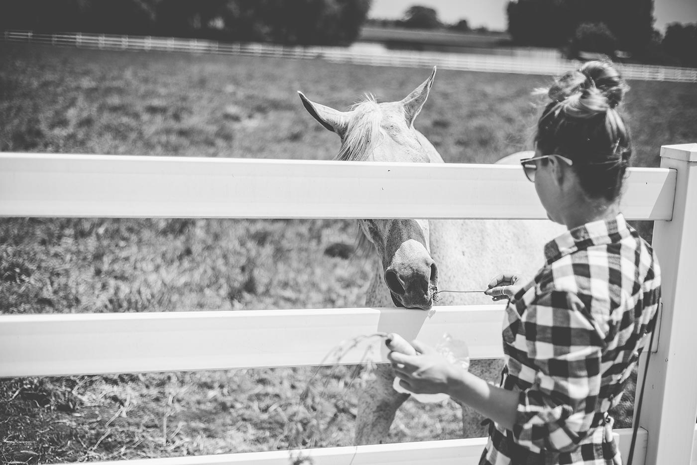Horsin'Around-13.jpg