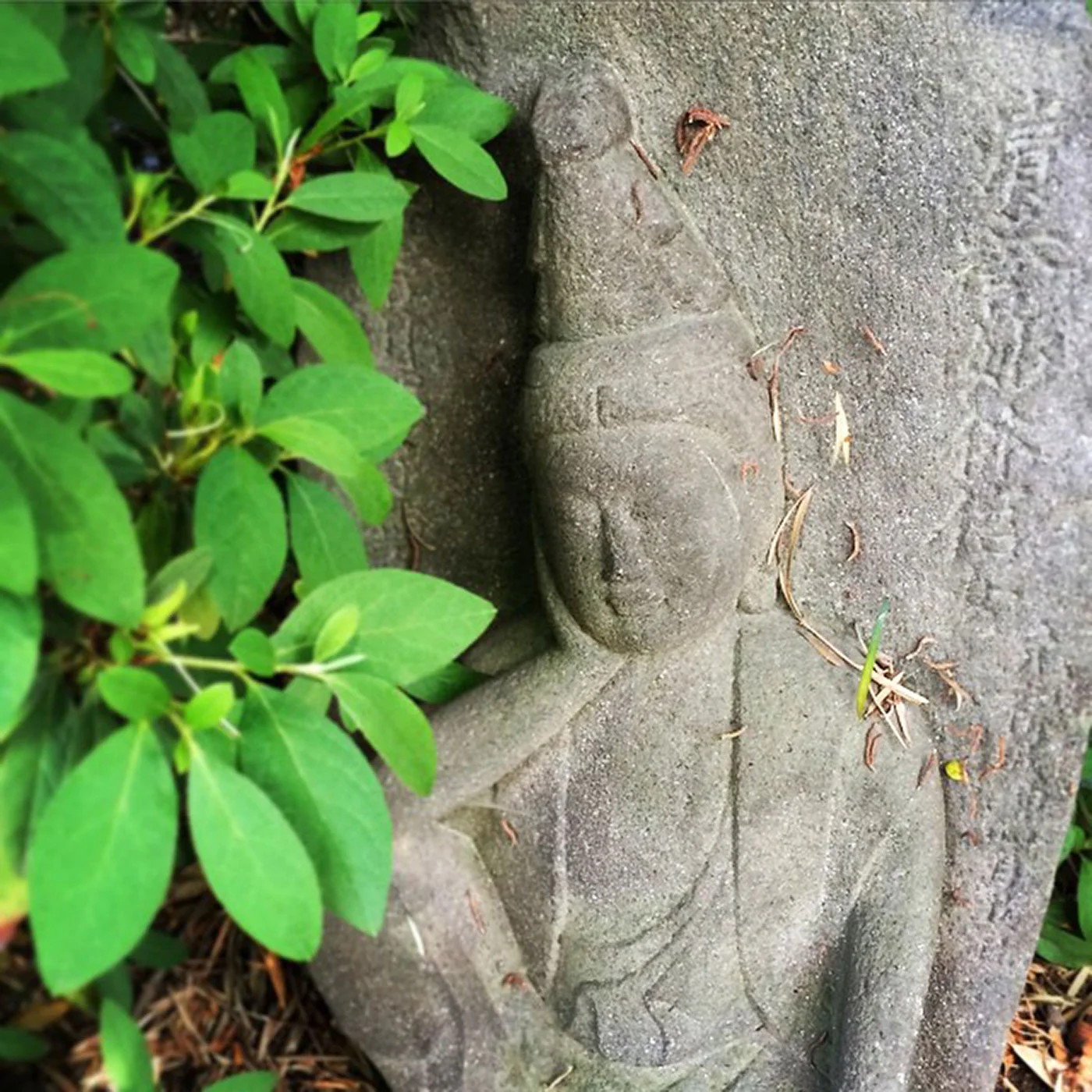 its-a-peaceful-contemplation-party-partyhat-135365-meaganchelsea33-what-does-the-stone-say-haha_17331570393_o.jpg