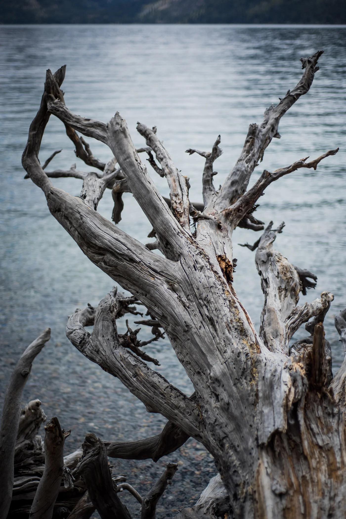 smlTahoeAdventure-May2015-245.jpg