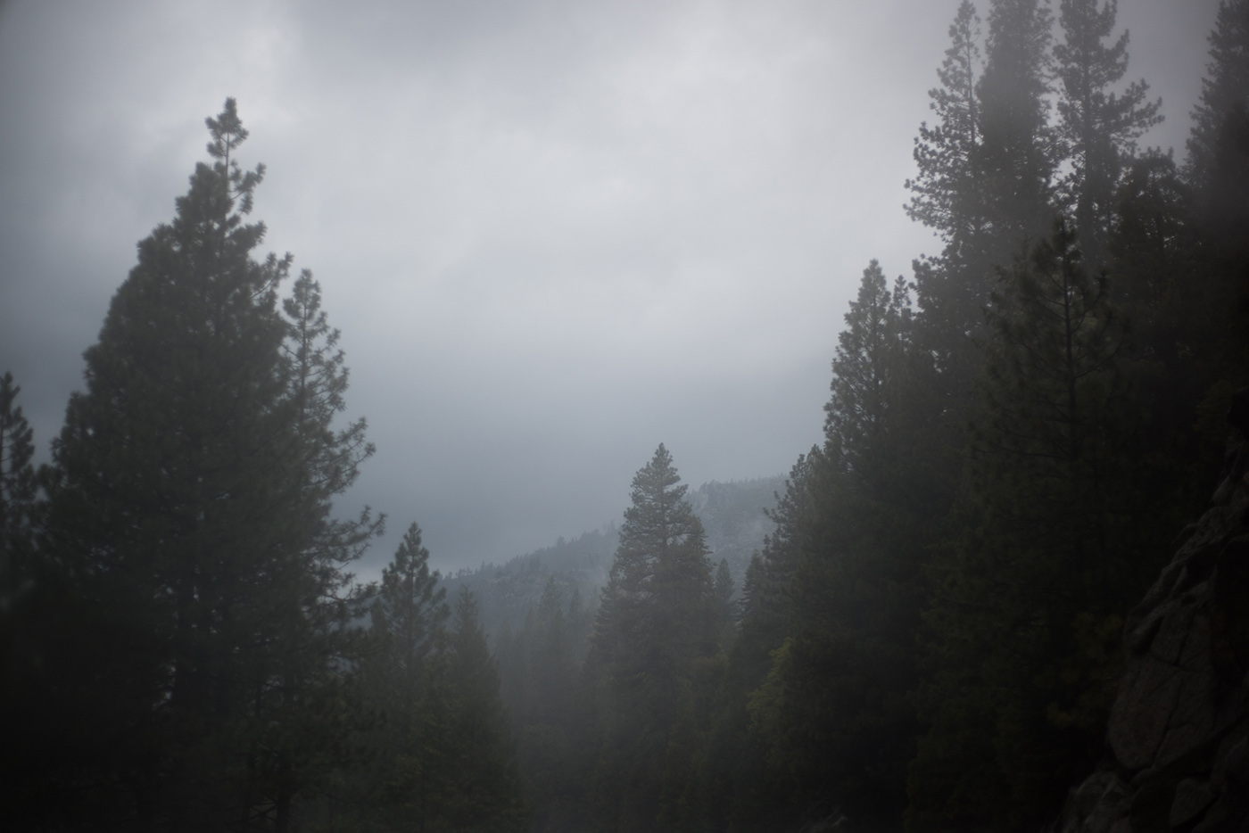 smlTahoeAdventure-May2015-347.jpg