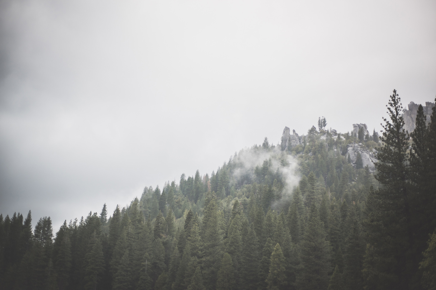 smlTahoeAdventure-May2015-349.jpg
