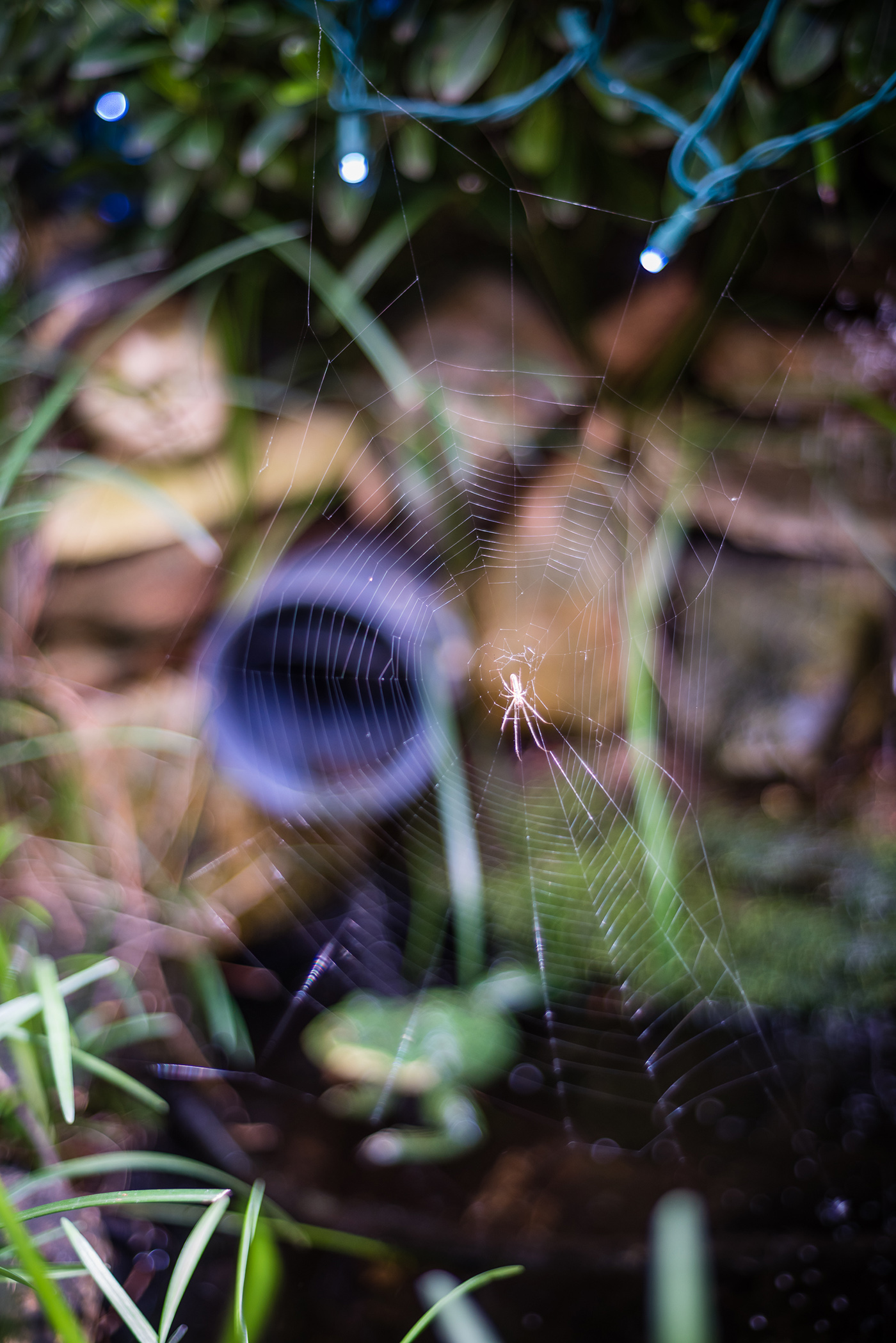 smlTahoeAdventure-May2015-356.jpg