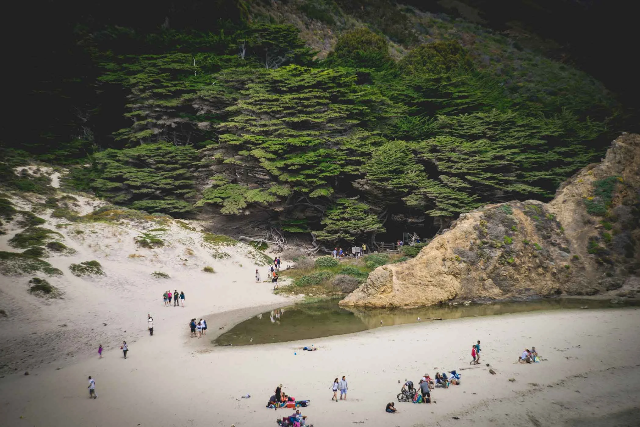 smlBigSurRoadTrip-210.jpg