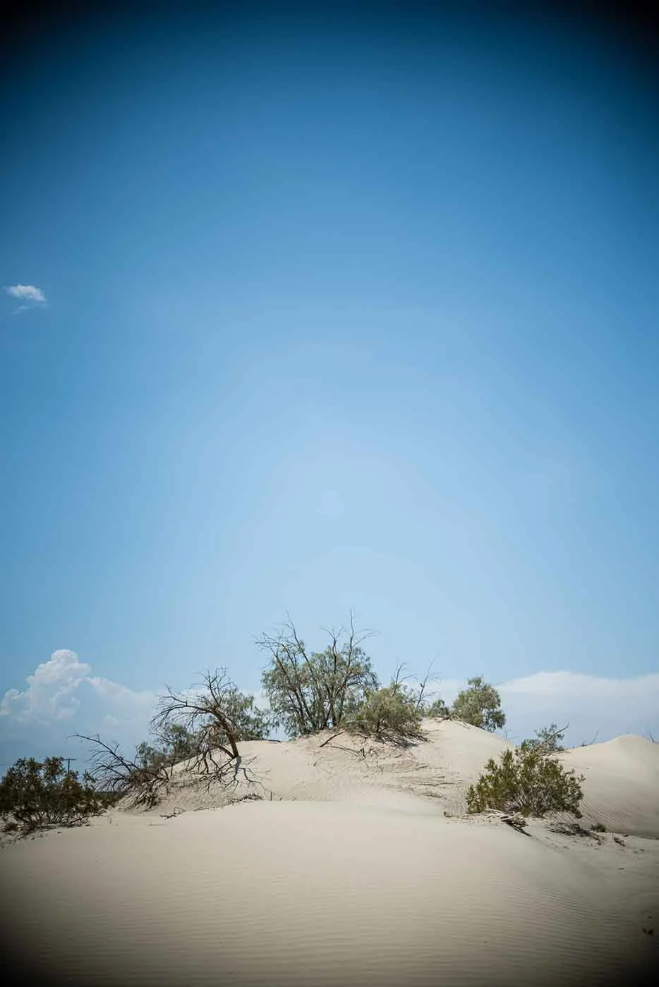 sml4thOfJuly2015InTheDesert-49.jpg