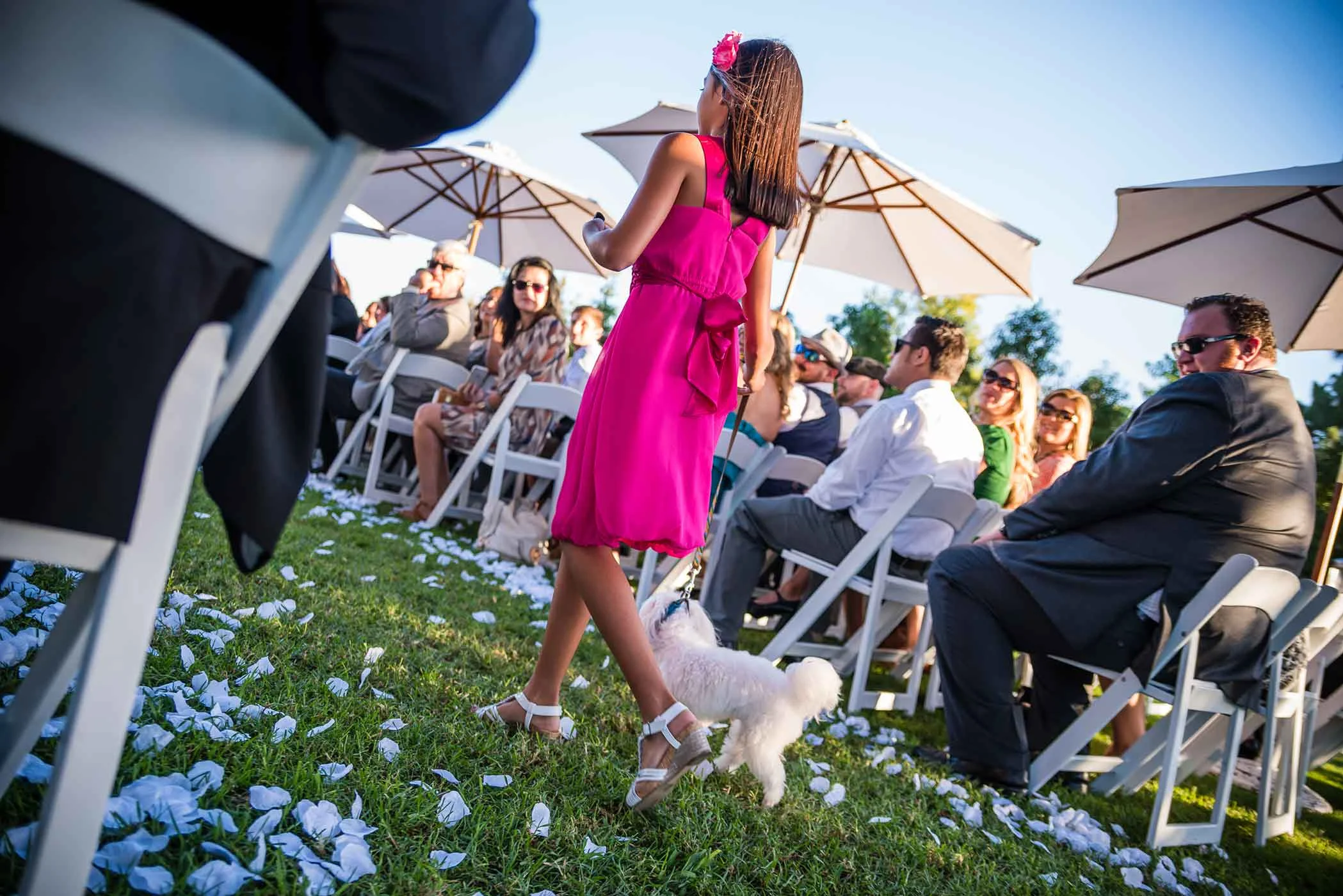 smlNahal-+-Joe-Wedding---Aug-2015-86.jpg