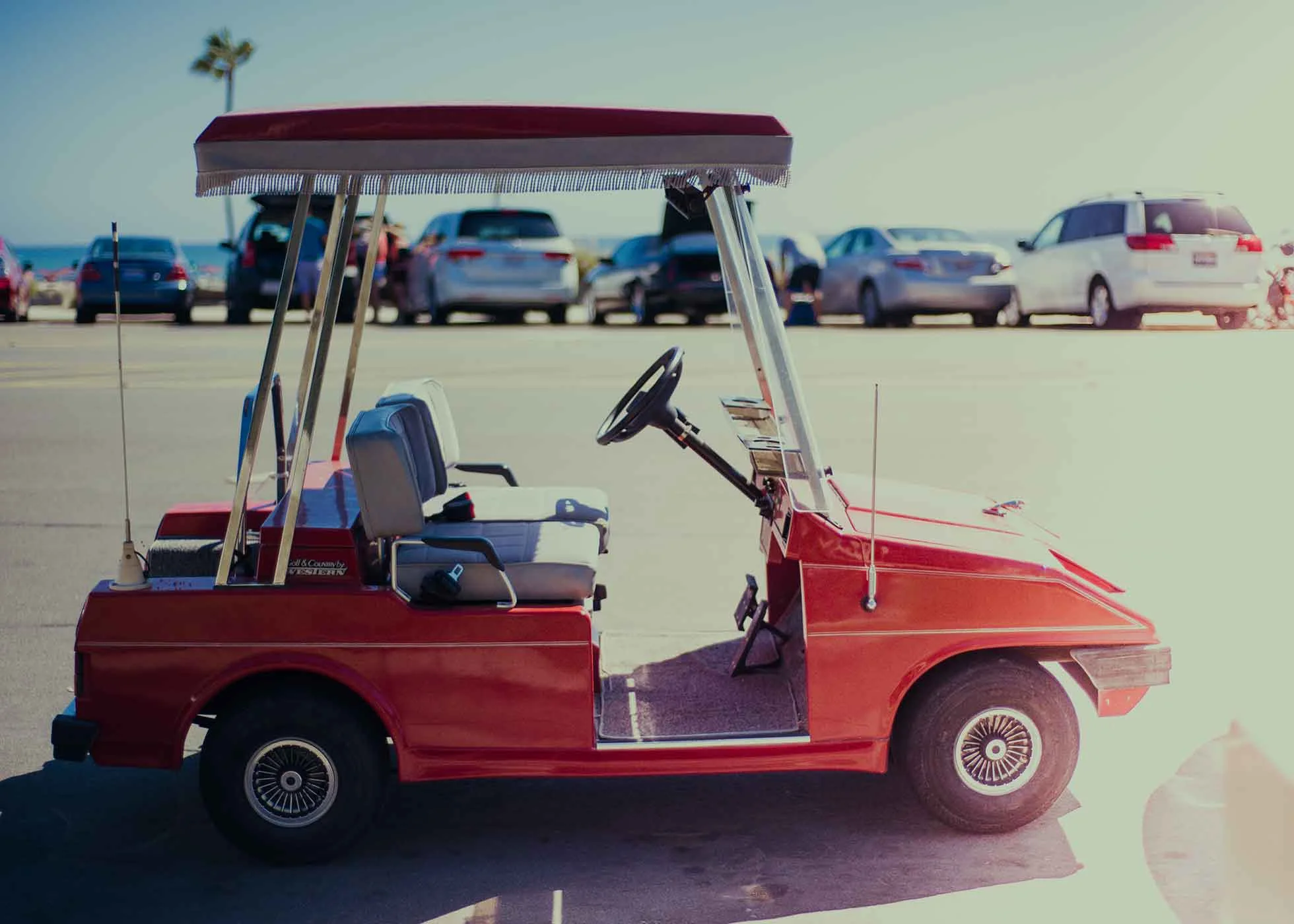 smlSan-Diego-Vacation---August-2015-61.jpg