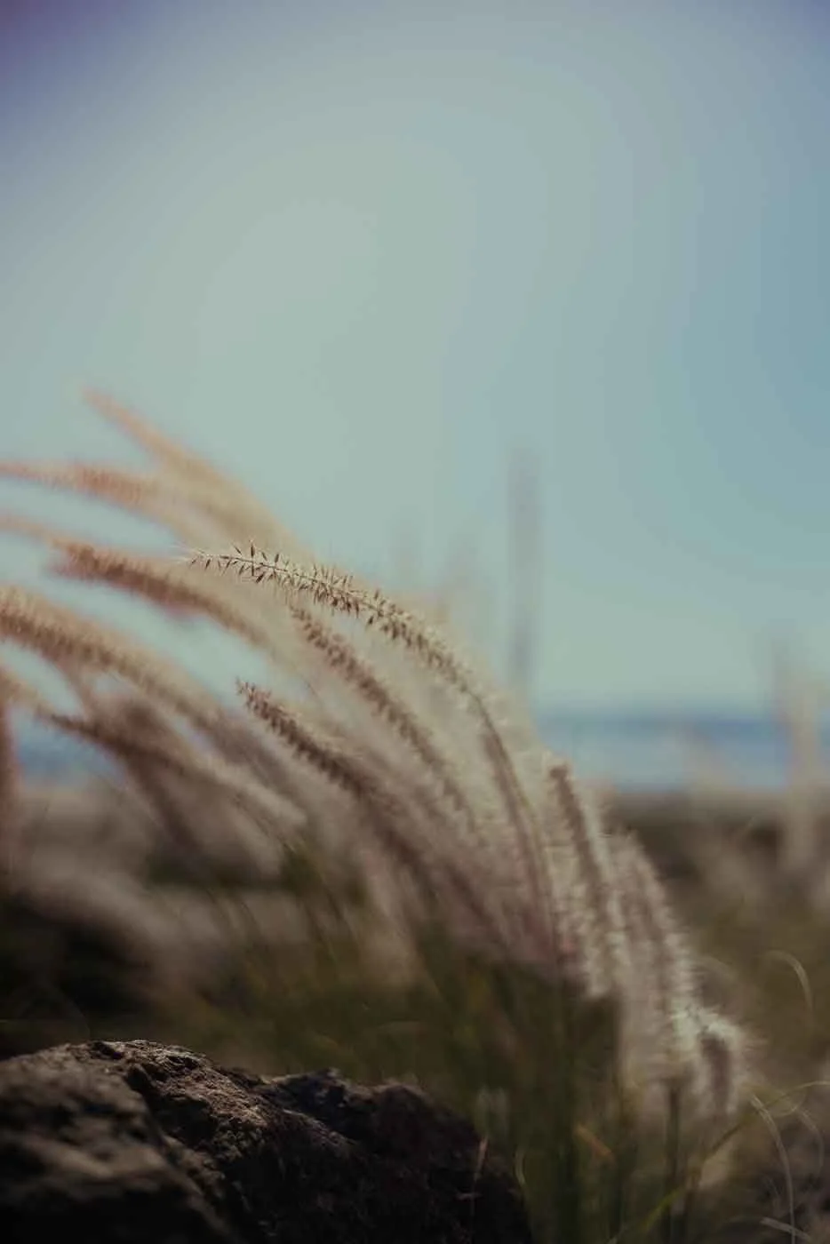 smlSan-Diego-Vacation---August-2015-72.jpg
