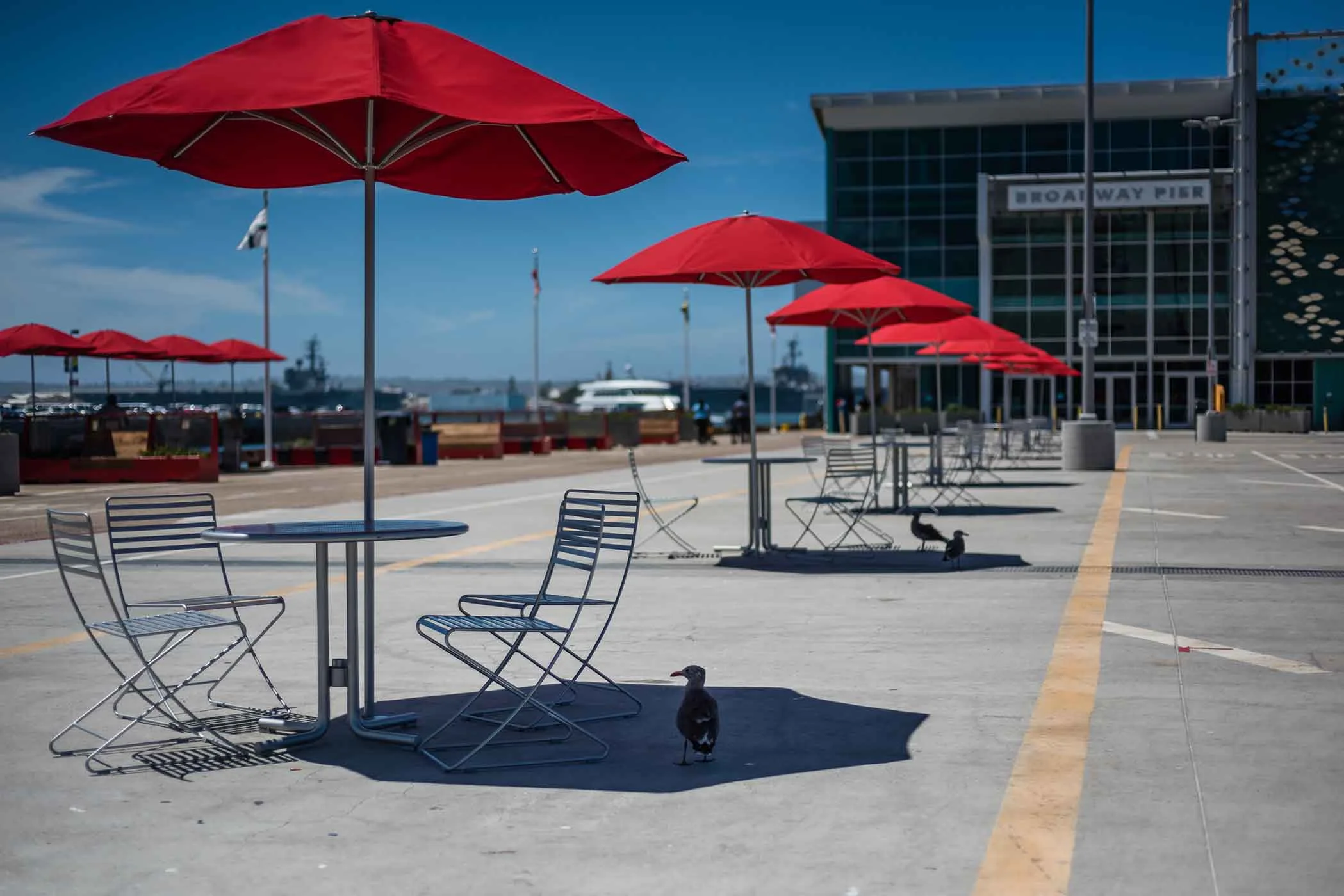 smlSan-Diego-Vacation---August-2015-103.jpg