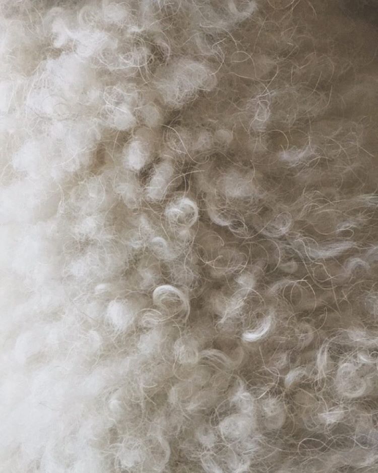 clouds-or-poodle-fluff-n-stuff-289366_22718007742_o.jpg